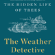 Illustration for article titled You Can Delete Your Weather App After Reading This Bookem/em